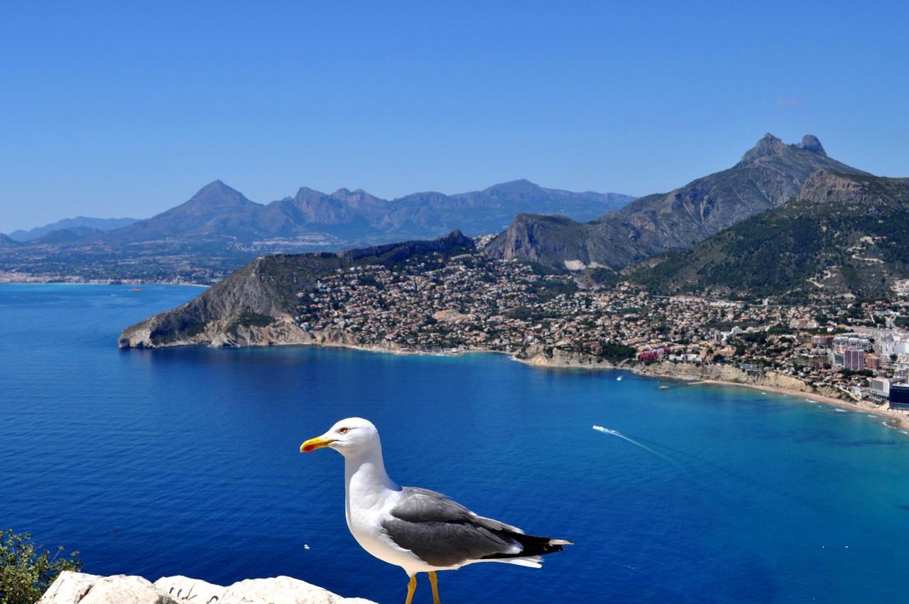 Maryvilla 231 Calpe Zewnętrze zdjęcie
